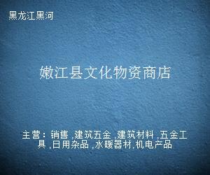 嫩江县文化物资商店 日用杂品销售服务介绍